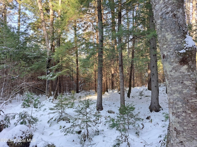 L17 Rice Rd, Hope, NY 12134 - photo 51