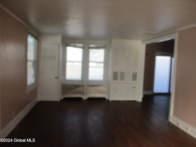 interior space featuring dark wood-type flooring