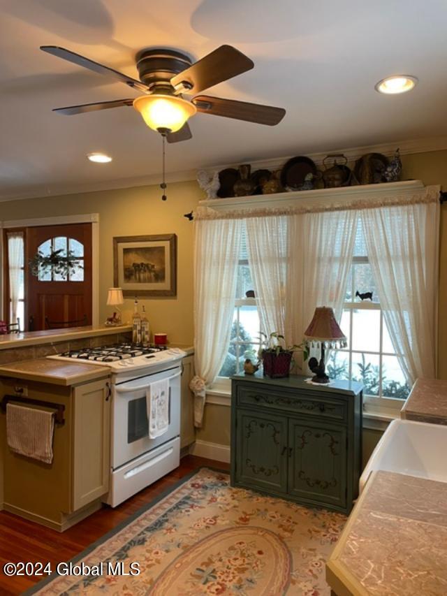 kitchen with gas range gas stove, crown molding, ceiling fan, and hardwood / wood-style flooring