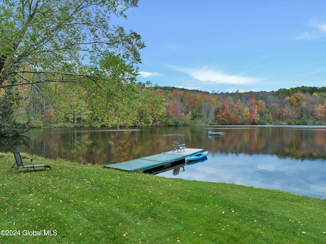 dock area with a water view and a lawn