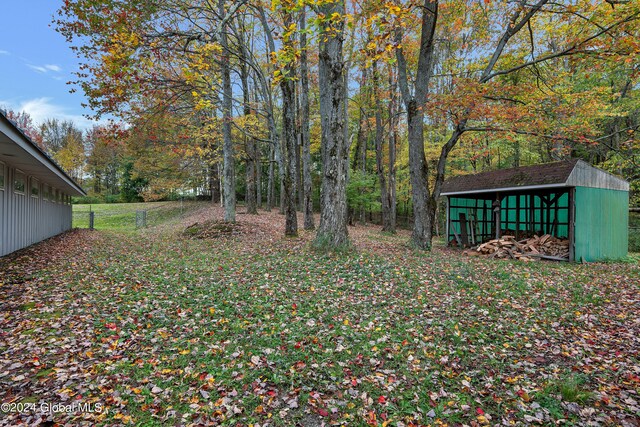 view of yard featuring a storage unit