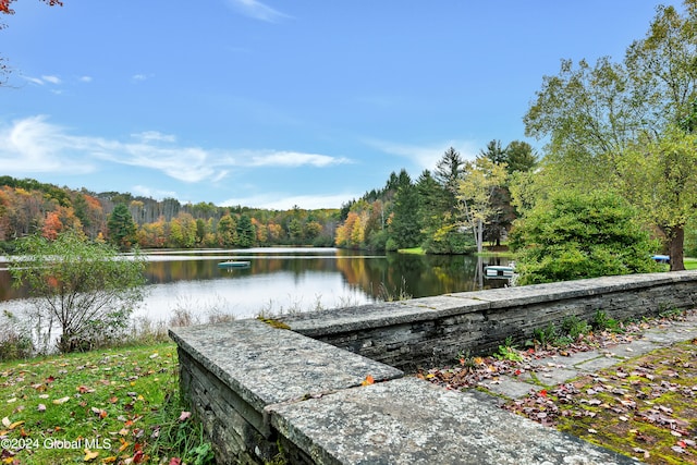 view of dock with a water view