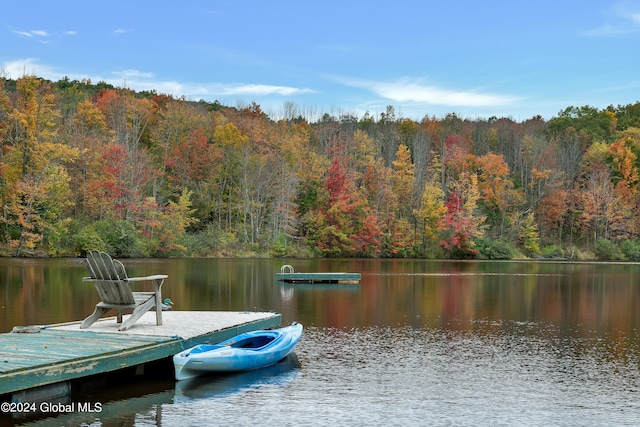 dock area featuring a water view