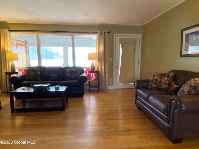 living room with ornamental molding and light hardwood / wood-style floors