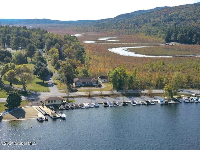 3009 State Route 9l, Lake George, NY 12845 - photo 2
