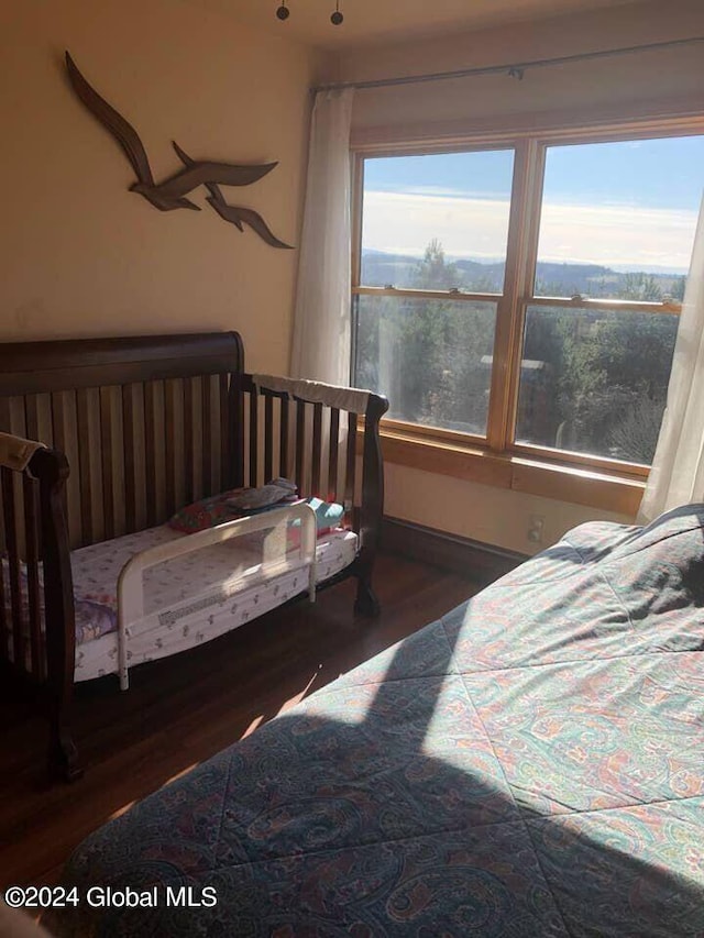 bedroom featuring dark hardwood / wood-style flooring