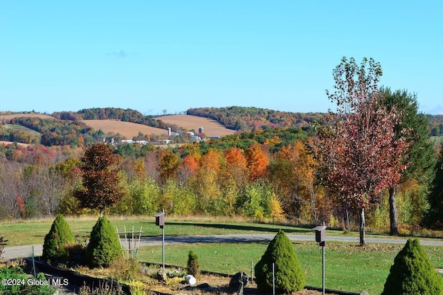 view of mountain view