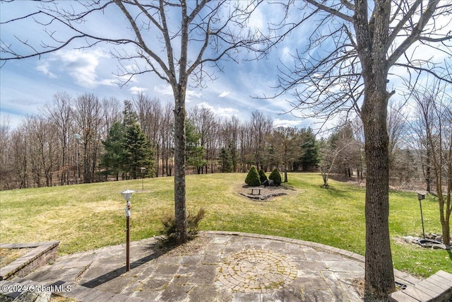 view of yard with a patio