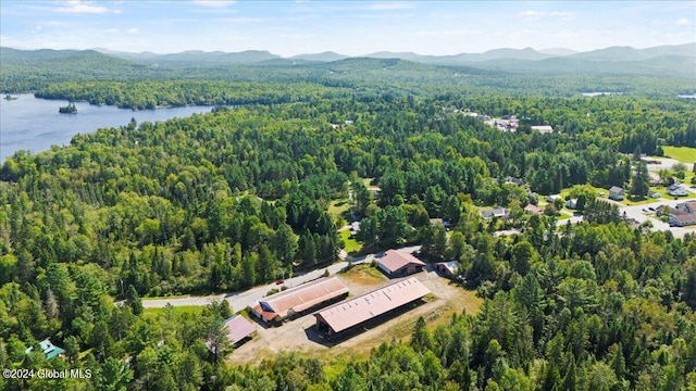 drone / aerial view with a water and mountain view