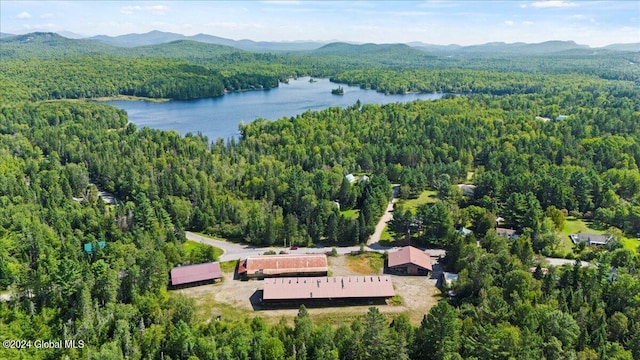 birds eye view of property featuring a water and mountain view