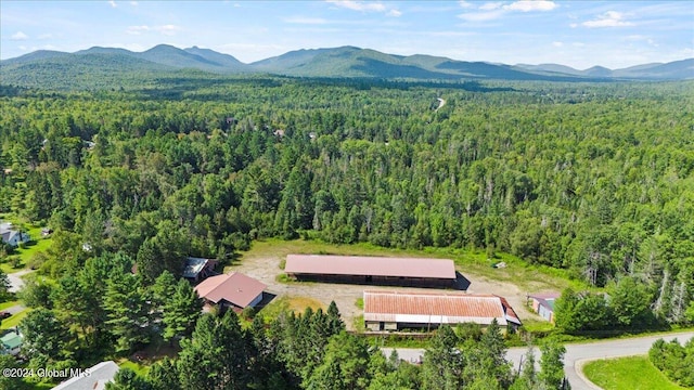 bird's eye view featuring a mountain view