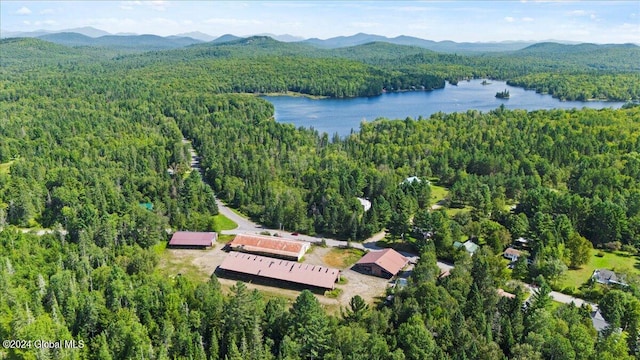 birds eye view of property with a water and mountain view