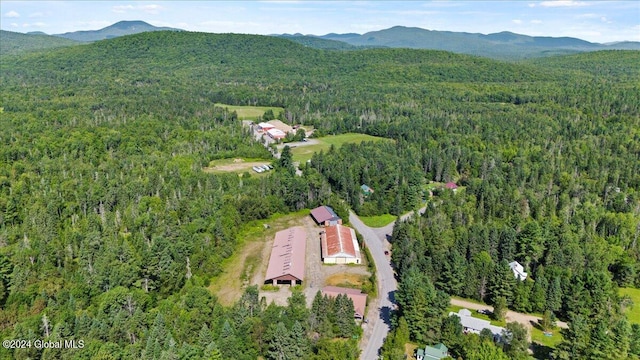 drone / aerial view featuring a mountain view