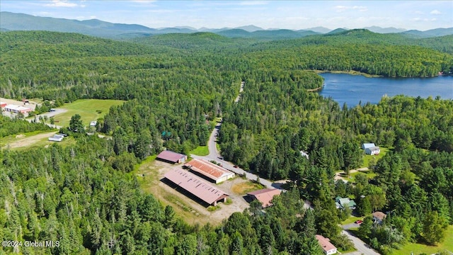 bird's eye view with a water and mountain view