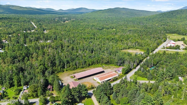 bird's eye view with a mountain view