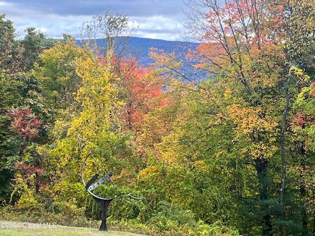 property view of mountains