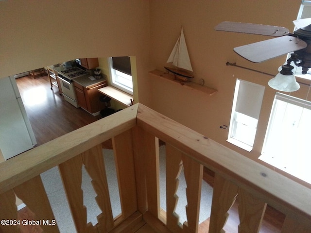 staircase with dark hardwood / wood-style flooring and ceiling fan