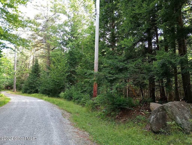 Listing photo 2 for L59 Antler Lake Rd, Johnsburg NY 12886