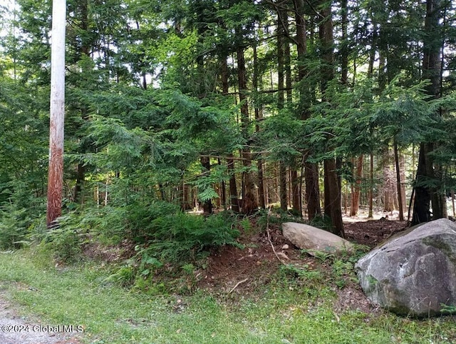 L59 Antler Lake Rd, Johnsburg NY, 12886 land for sale