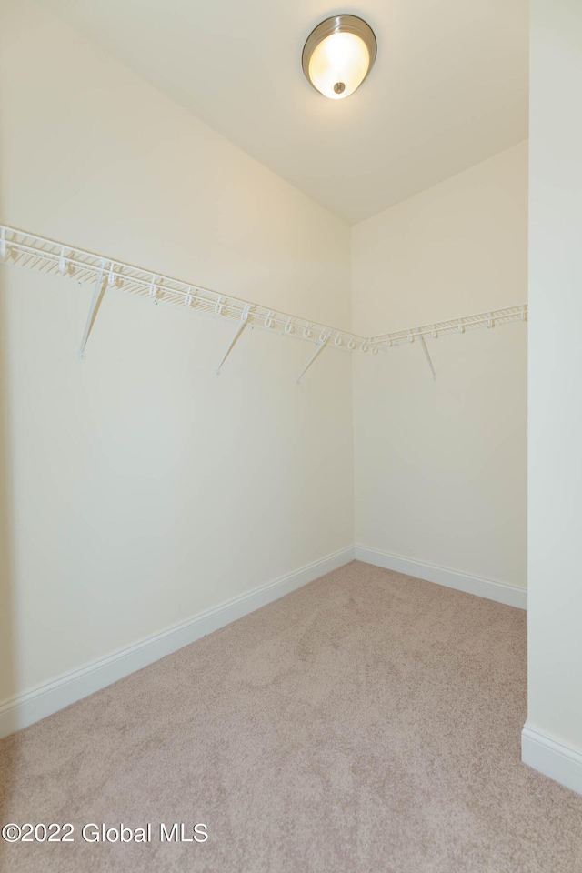 spacious closet with carpet