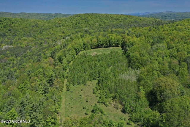 view of bird's eye view