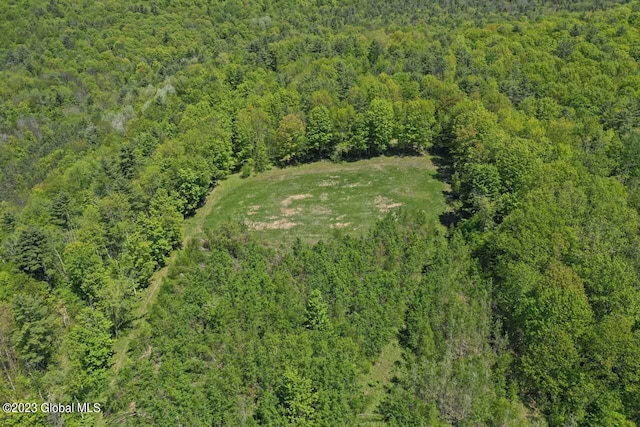 view of bird's eye view