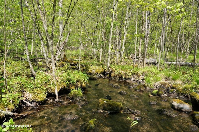 view of nature featuring a water view