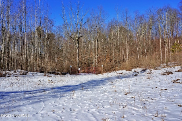 view of snowy view