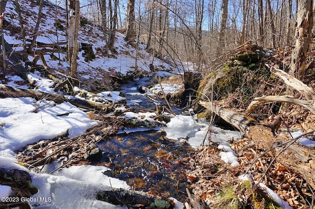 view of local wilderness with a water view