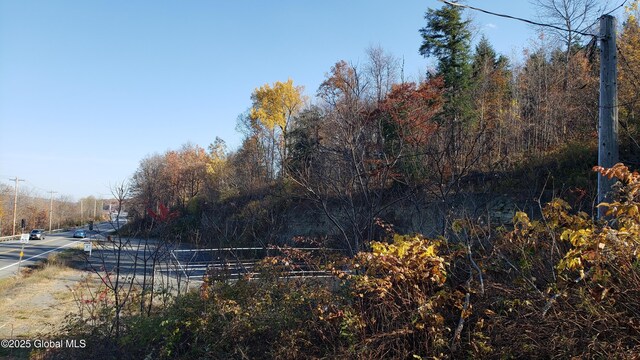 2554 State Route 7, Schoharie, NY 12092 - photo 11