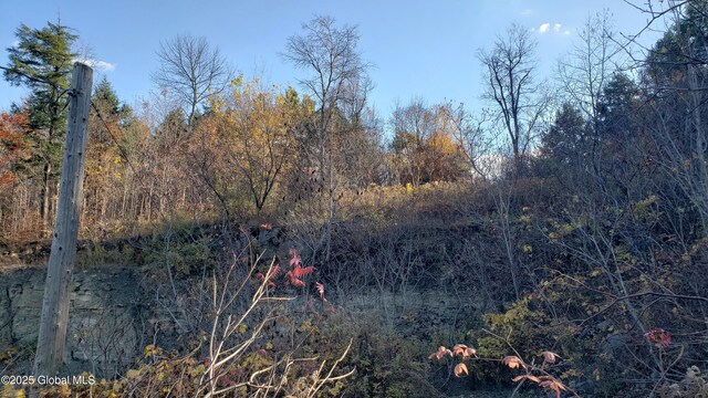 2554 State Route 7, Schoharie, NY 12092 - photo 12