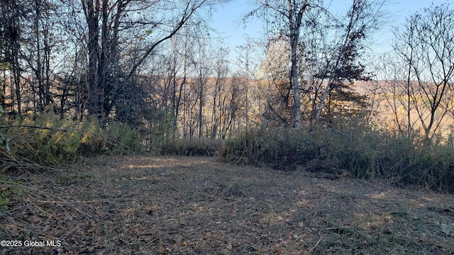 2554 State Route 7, Schoharie, NY 12092 - photo 17