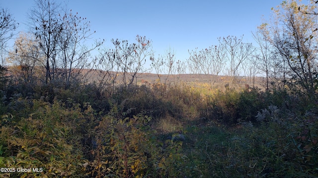 2554 State Route 7, Schoharie, NY 12092 - photo 18