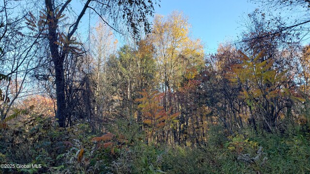 2554 State Route 7, Schoharie, NY 12092 - photo 20