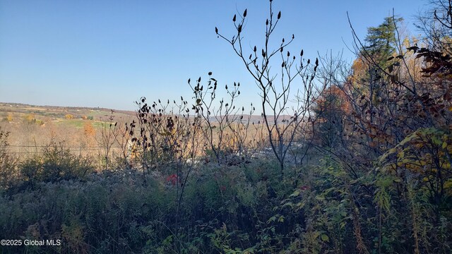2554 State Route 7, Schoharie, NY 12092 - photo 23