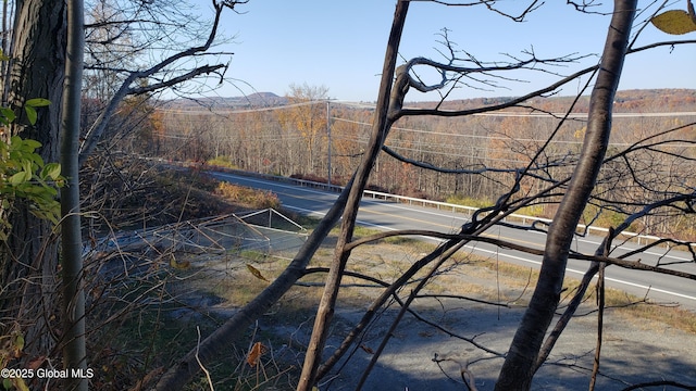 2554 State Route 7, Schoharie, NY 12092 - photo 26