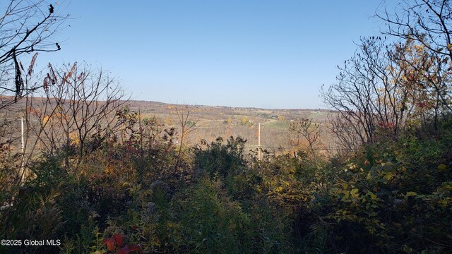 2554 State Route 7, Schoharie, NY 12092 - photo 27