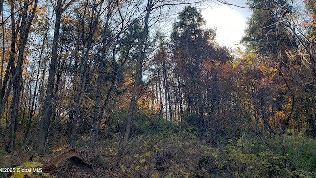 2554 State Route 7, Schoharie, NY 12092 - photo 32