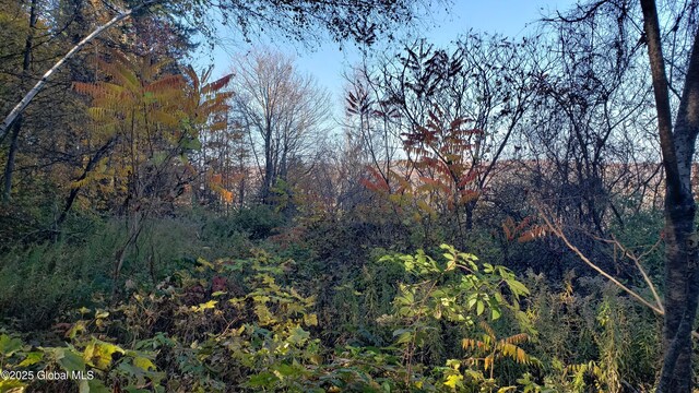 2554 State Route 7, Schoharie, NY 12092 - photo 33