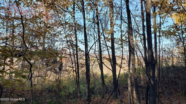 2554 State Route 7, Schoharie, NY 12092 - photo 34