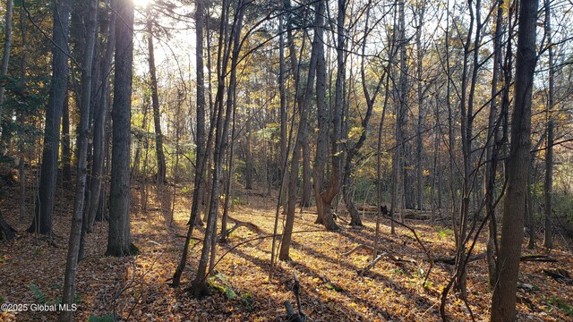 2554 State Route 7, Schoharie, NY 12092 - photo 35