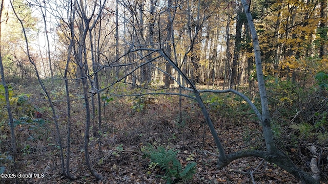 2554 State Route 7, Schoharie, NY 12092 - photo 36