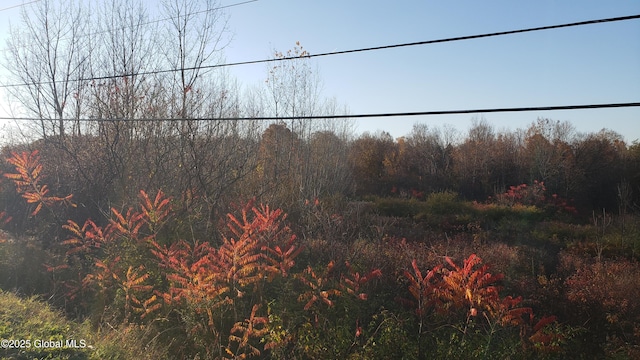 2554 State Route 7, Schoharie, NY 12092 - photo 40