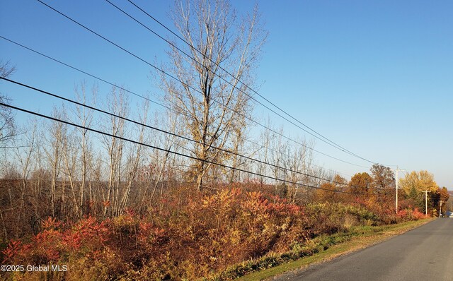 2554 State Route 7, Schoharie, NY 12092 - photo 39