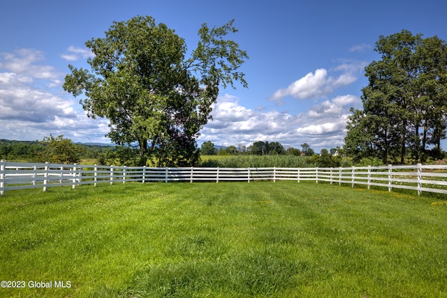 view of yard with a rural view