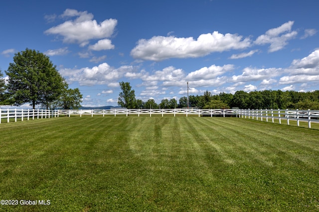 view of yard with a rural view