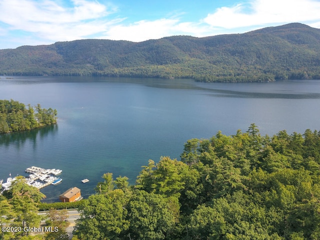 property view of water featuring a mountain view