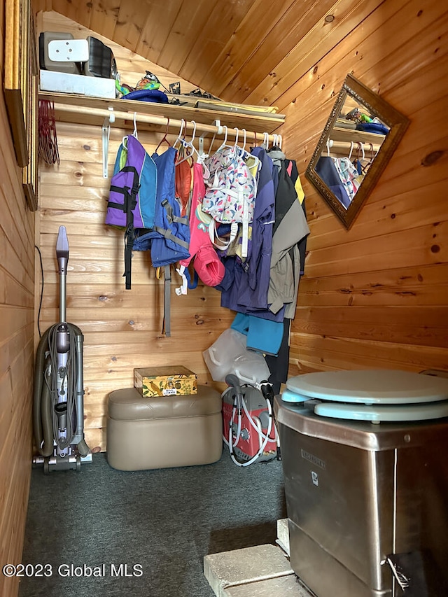 walk in closet with carpet floors and lofted ceiling