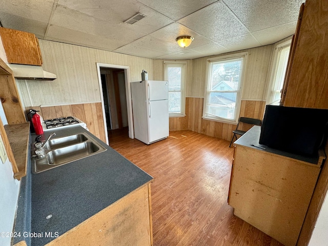 kitchen featuring sink, white refrigerator, light hardwood / wood-style floors, wall chimney range hood, and a drop ceiling