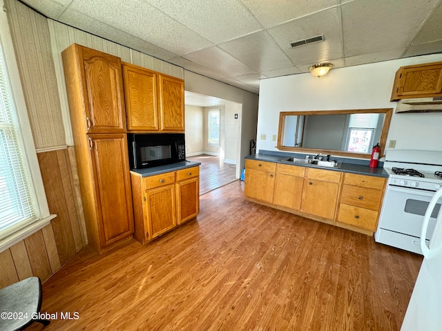 kitchen with sink, light hardwood / wood-style floors, a drop ceiling, and white gas stove